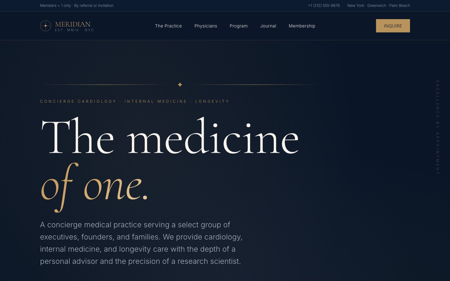 Meridian Pro template preview